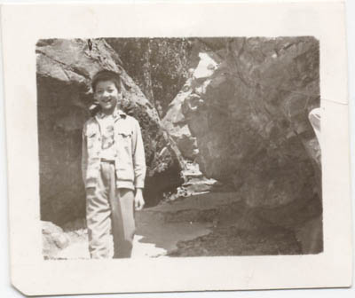 ����������д��