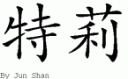 Terry的中文拼写
