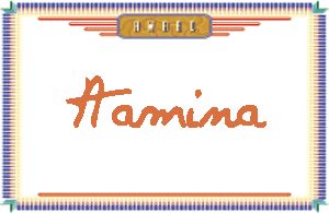 Aamina����дӢ��