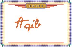 Aqib����дӢ��