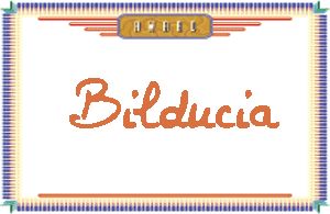 Bilducia����дӢ��