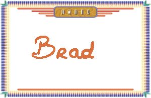 Brad����дӢ��