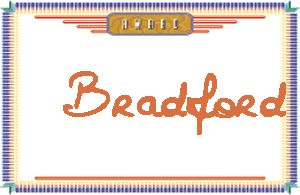 Bradford����дӢ��