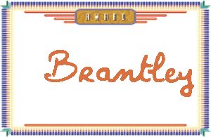 Brantley����дӢ��