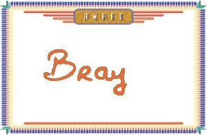Bray����дӢ��