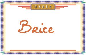 Brice����дӢ��