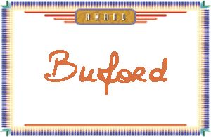 Buford����дӢ��