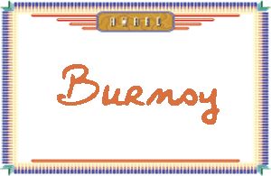 Burnsy����дӢ��