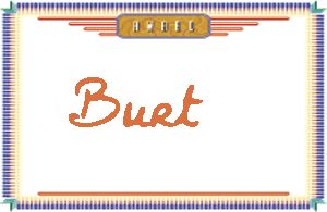Burt����дӢ��