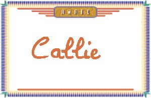 Callie����дӢ��