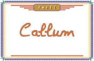 Callum����дӢ��