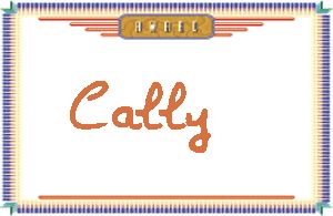 Cally����дӢ��