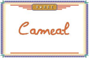 Cameal����дӢ��