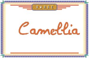 Camellia����дӢ��