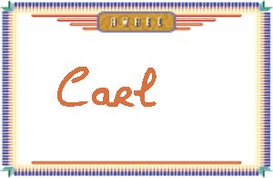 Carl的手写英文