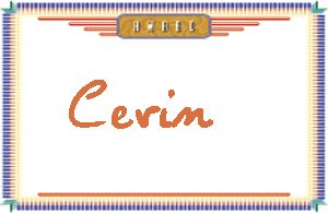 Cevin����дӢ��