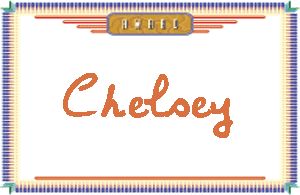 Chelsey����дӢ��