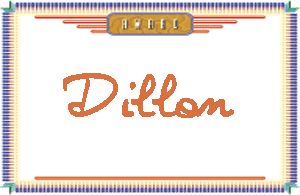 Dillon����дӢ��