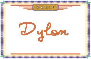 Dylon����дӢ��