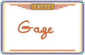 Gage����дӢ��