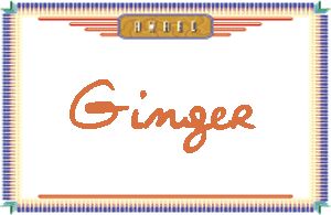 Ginger����дӢ��