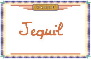 Jequil����дӢ��