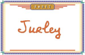 Jurley����дӢ��