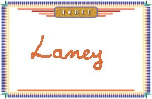 Laney����дӢ��