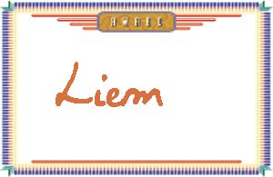 Liem����дӢ��