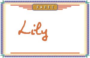 Lily����дӢ��