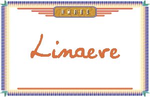 Linaeve����дӢ��