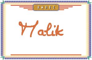 Malik����дӢ��