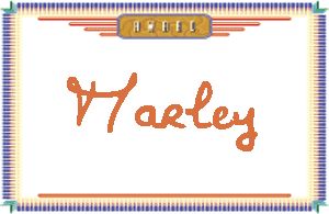 Marley����дӢ��