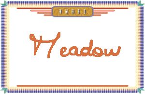 Meadow的手写英文