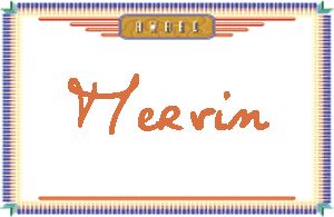 Mervin����дӢ��