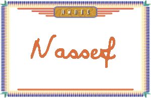 Nassef����дӢ��