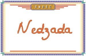 Nedzada����дӢ��