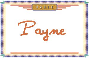 Payne����дӢ��