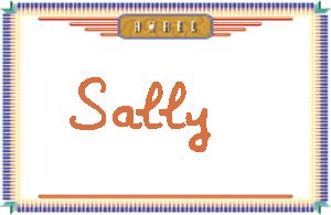 Sally����дӢ��