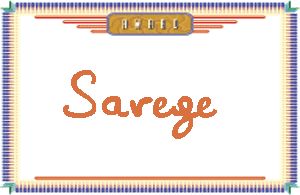 Savege����дӢ��