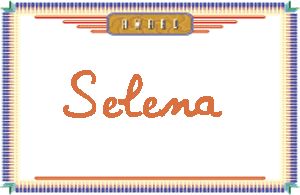 Selena����дӢ��