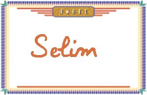 Selim����дӢ��