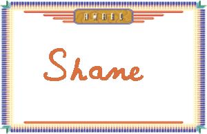 Shane����дӢ��