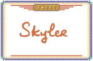 Skyler����дӢ��