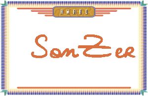 SonZer����дӢ��