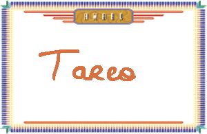 Tareo����дӢ��