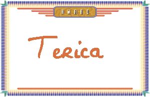 Terica����дӢ��