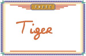 Tiger����дӢ��