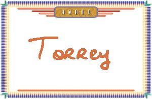 Torrey����дӢ��