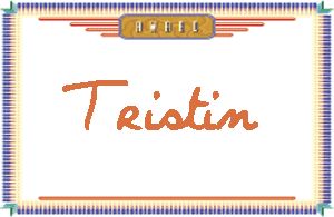 Tristin����дӢ��
